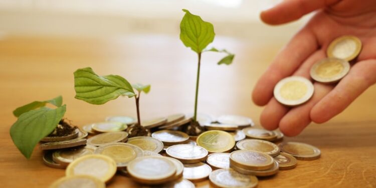 W co warto zainwestować w 2022