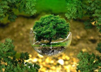 Greenwashing - definicja pojęcia, zastosowanie, przykłady