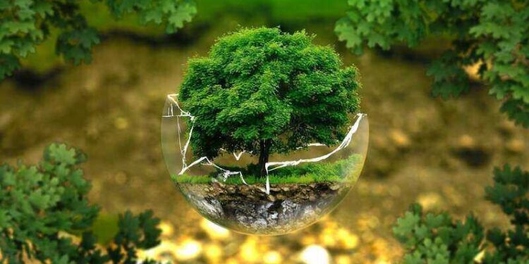 Greenwashing - definicja pojęcia, zastosowanie, przykłady