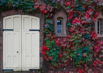 Okucia do drzwi - co musisz wiedzieć?