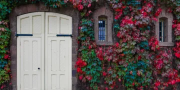 Okucia do drzwi - co musisz wiedzieć?