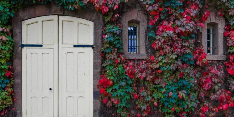 Okucia do drzwi - co musisz wiedzieć?