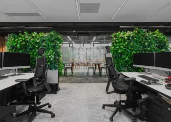 Ogród wertykalny w praktyce – kiedy zielona ściana naprawdę zmienia przestrzeń?